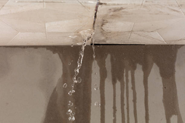 Professional Water Damage Restoration technician working in Lost Hills, CA